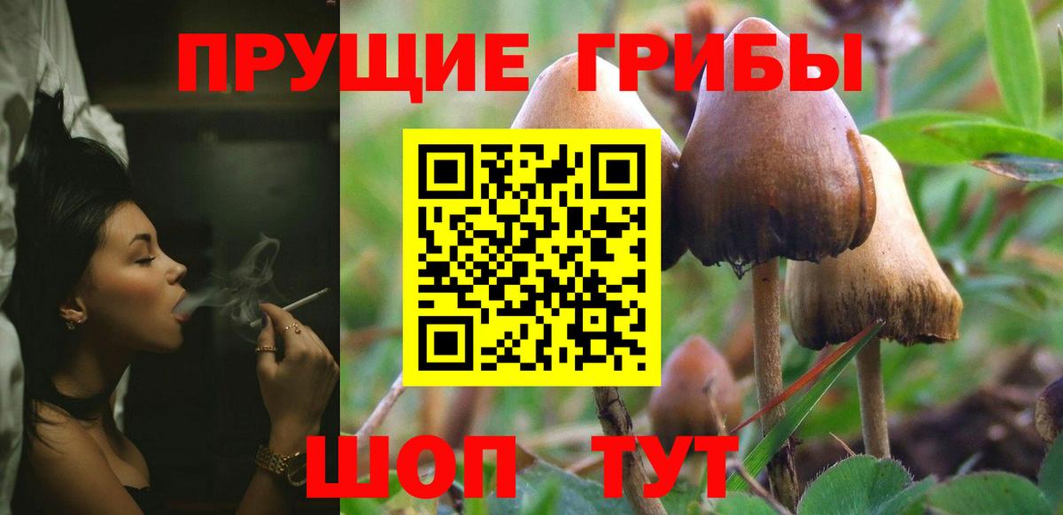 Псилоцибиновые грибы MAGIC MUSHROOMS Гулькевичи