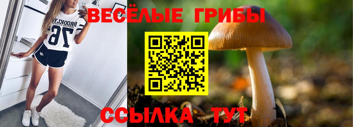 Гулькевичи  Галлюциногенные грибы мицелий  Вход с VPN  Псилоцибиновые грибы Cubensis 